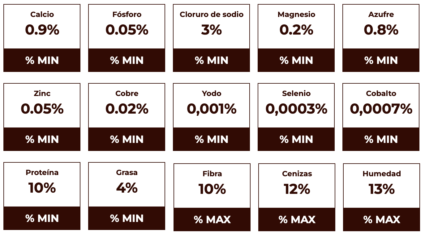 Conterumin levante/ceba energético carne